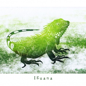 "I like Iguana"