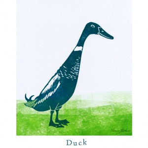 "D like Duck"