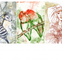 workshop monotype